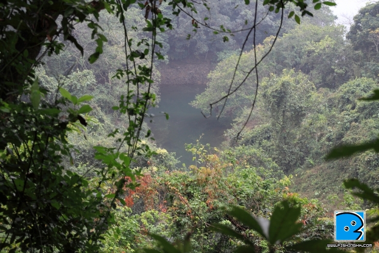DPP_0062.jpg