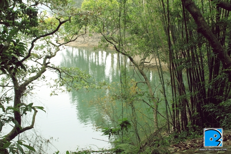 DPP_0050.jpg