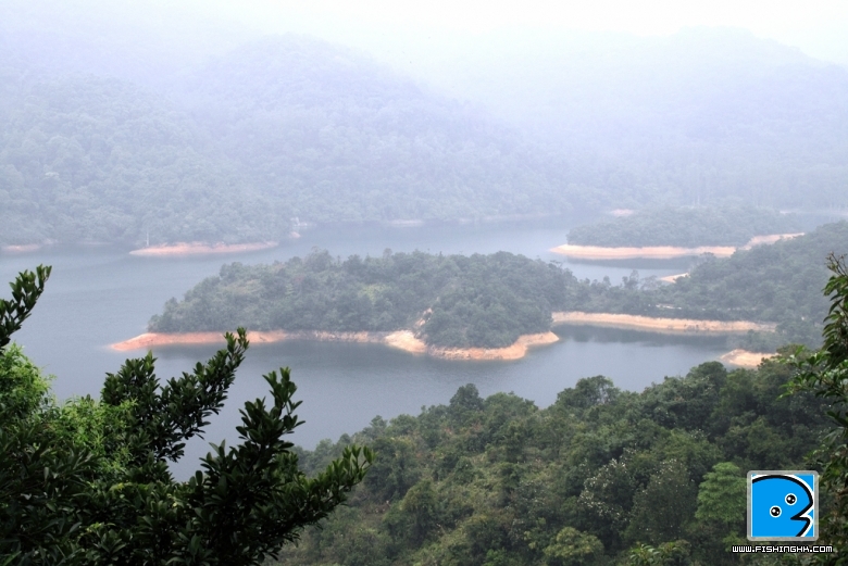 DPP_0077.jpg
