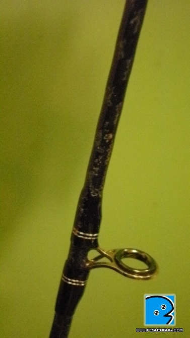 P4100036.JPG