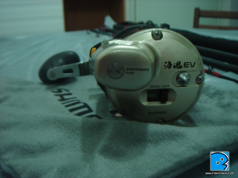 DSC00214.JPG