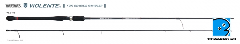 img-v-sbass.jpg
