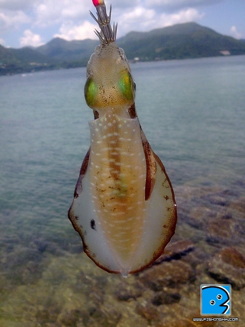 圖像0977.jpg