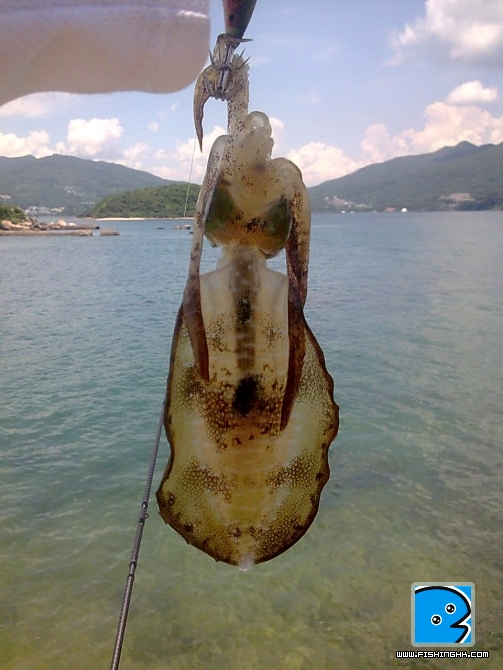 圖像0974.jpg