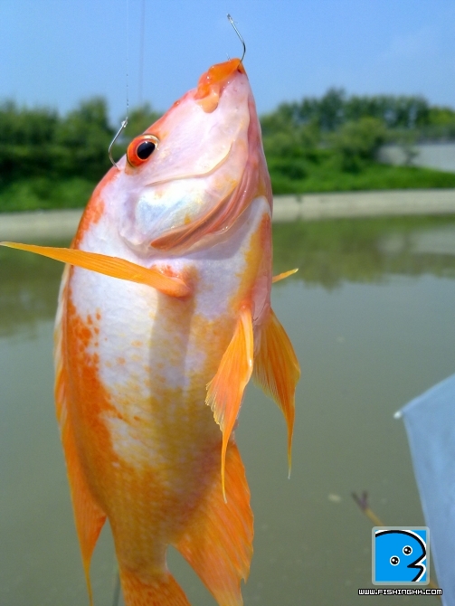 08282010080.jpg