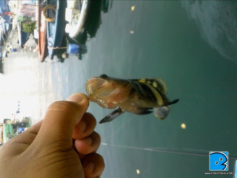 100831A000.jpg