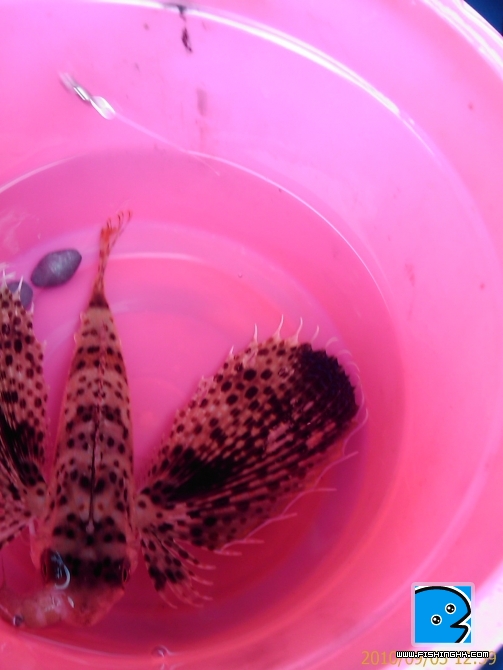 20100905_018.jpg