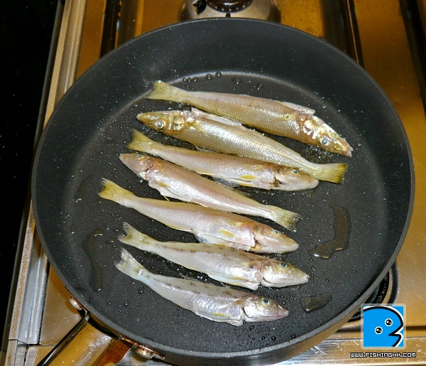 P1030452ed.jpg