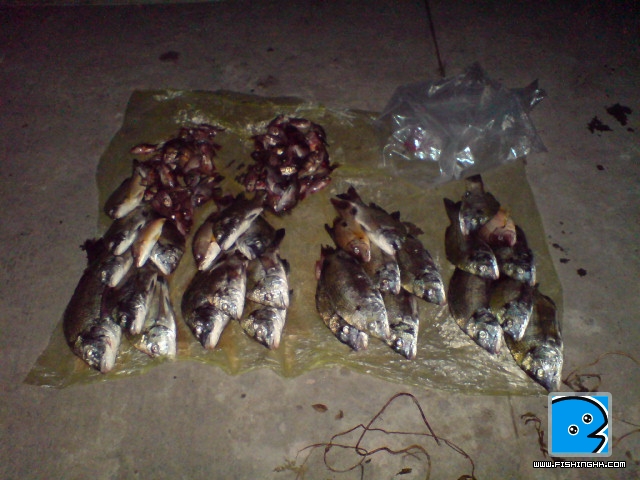 2010年9月9日澳頭夜水 (4).JPG