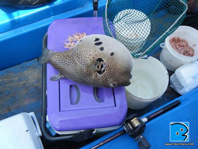 調整大小DSCF0894.JPG