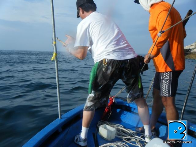 調整大小DSCF0908.JPG