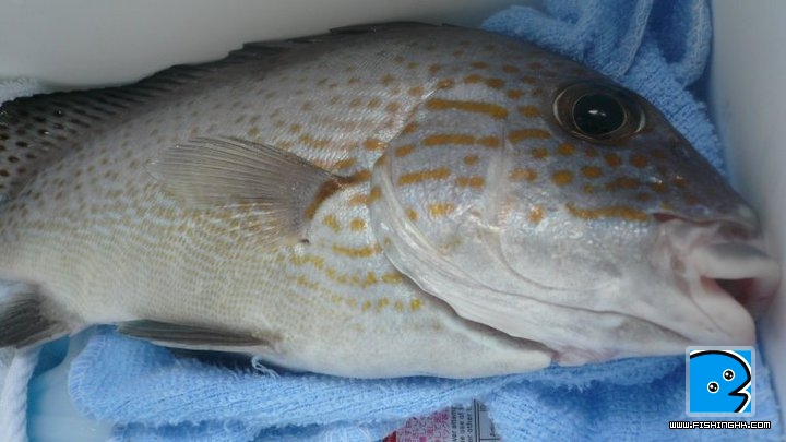 12092010238.jpg