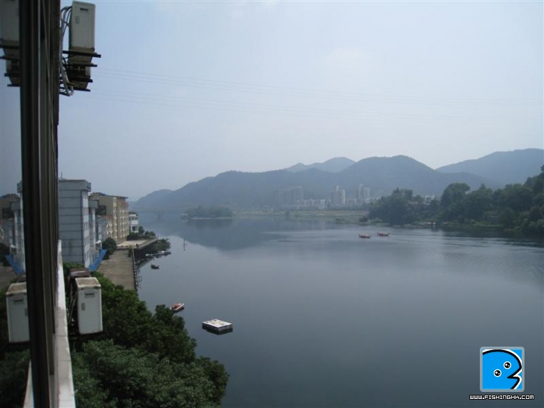 IMG_8211.JPG