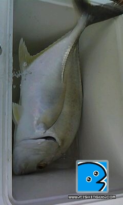 IMG0038A.jpg