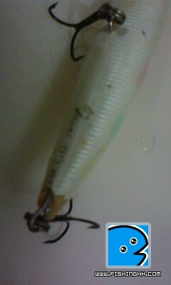 IMG0048A.jpg