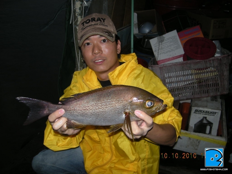 DSCN2206.JPG