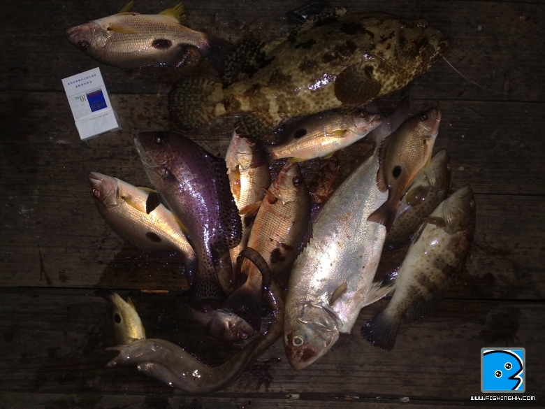 RBZ船20100926349.jpg