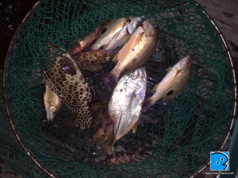 20101006358.jpg