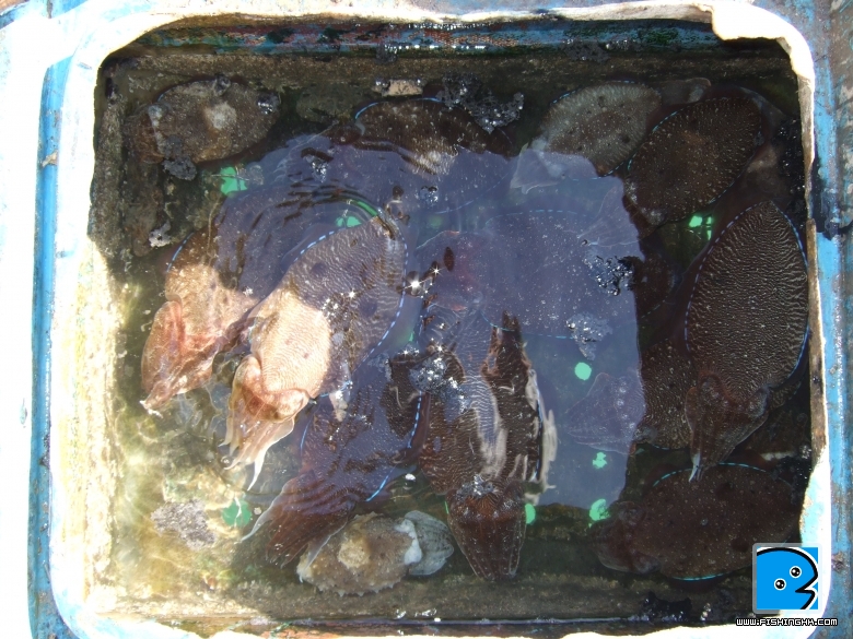 DSCF5728.JPG