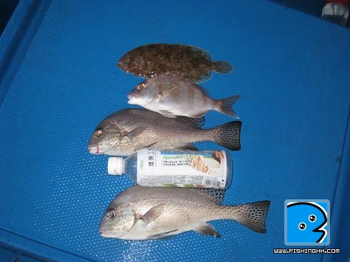 IMG_2313.JPG