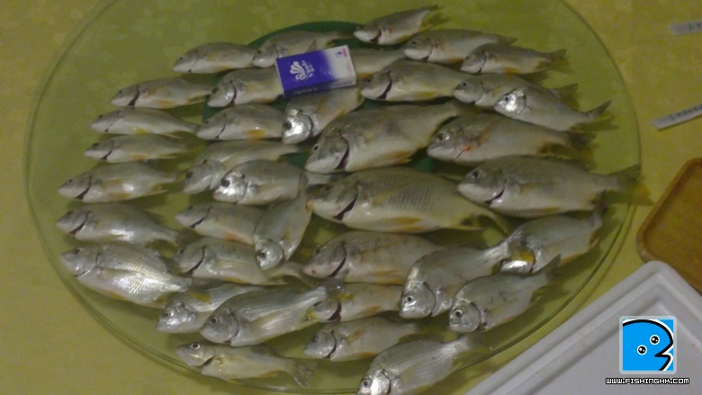 20101024078.JPG