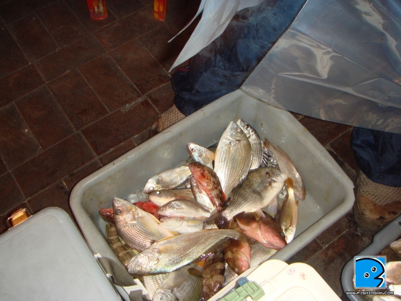 2010年10月31日珠洲 (10).JPG