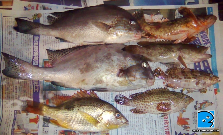 今晚的晚餐～～yummy