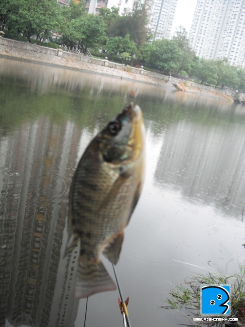 照片 436.jpg