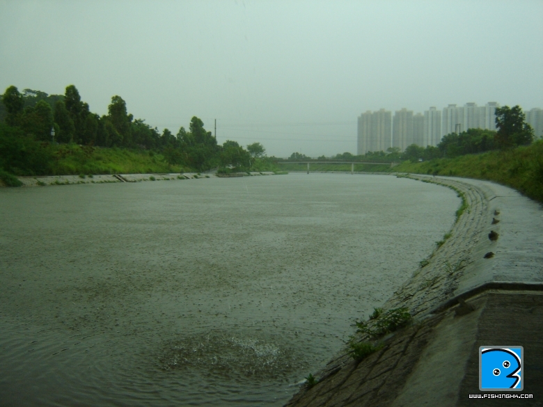 DSC04654.JPG