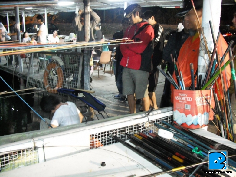 照片 667.jpg