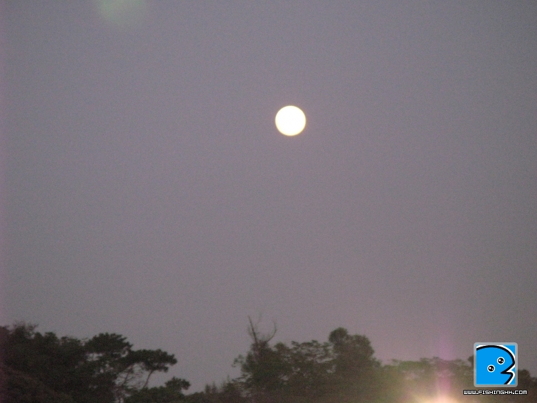 IMG_5511.jpg