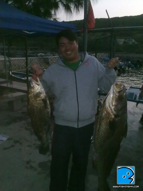 25112010103.jpg