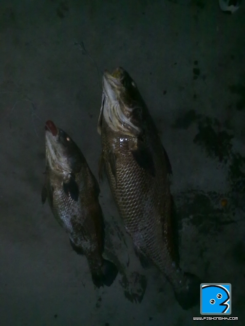 25112010105.jpg