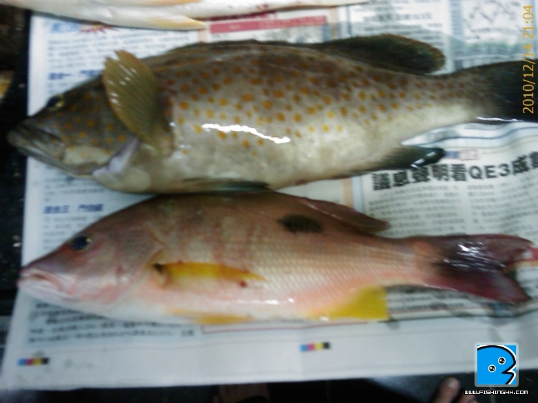 20101214_047.jpg