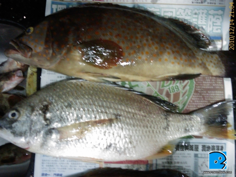 20101214_048.jpg