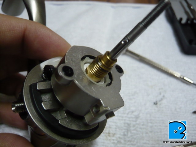 P1040486_resize.JPG