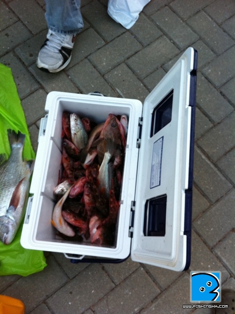 IMG_0125.jpeg