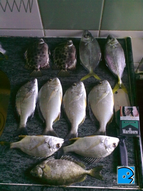 20101231231.jpg
