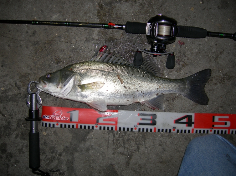 DSCN5455.JPG
