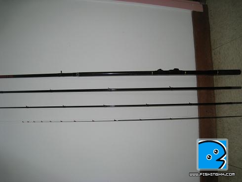 IMG_2359.JPG