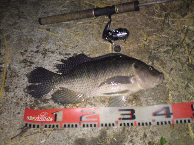 DSC03417.JPG
