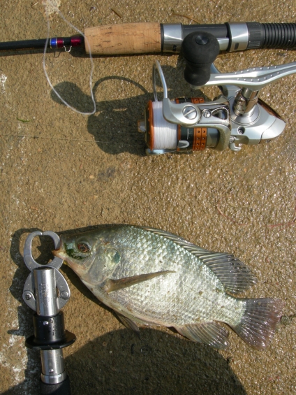 DSCN5466.JPG