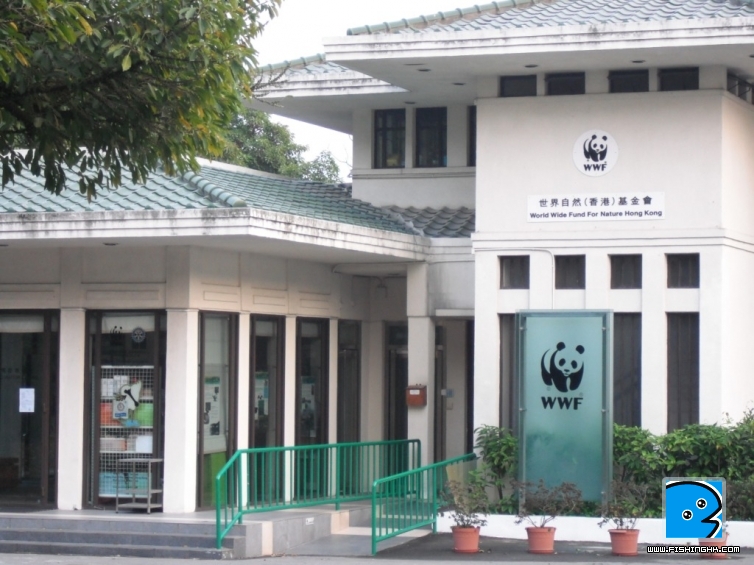 照片 492.1.jpg
