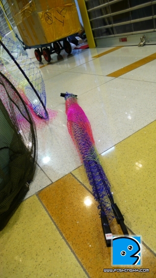 P1090220.JPG