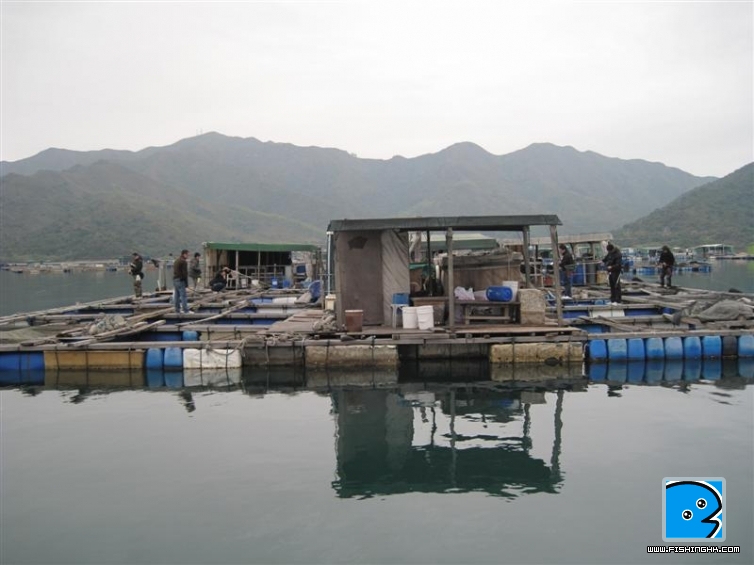 IMG_7829 (中型).jpg