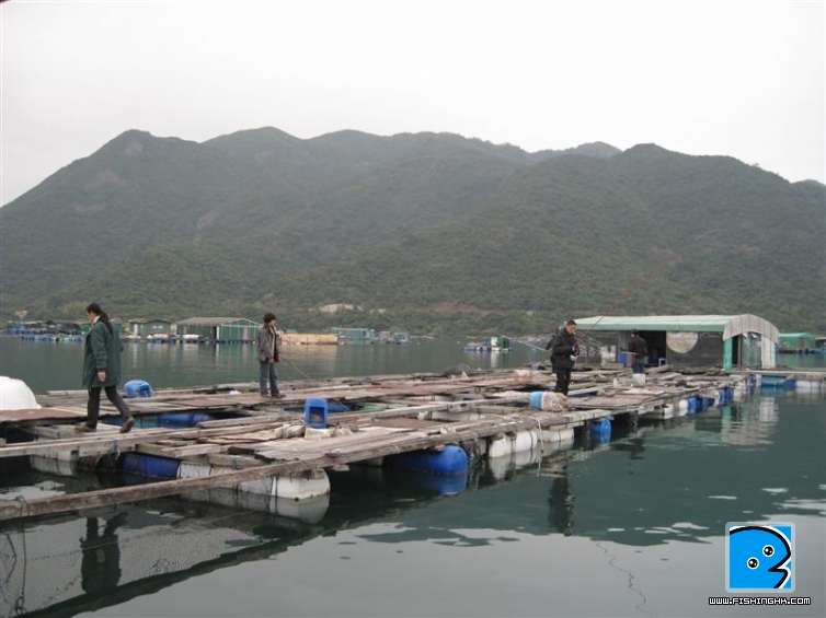 IMG_7807 (中型).jpg