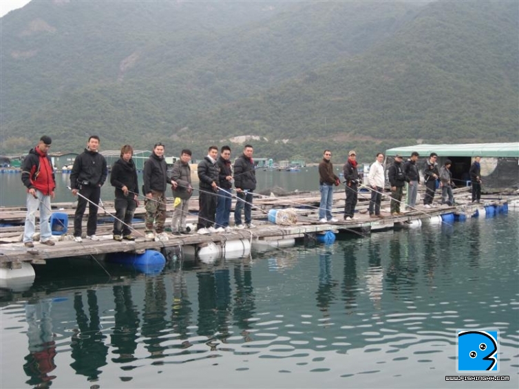 IMG_7850 (中型).jpg