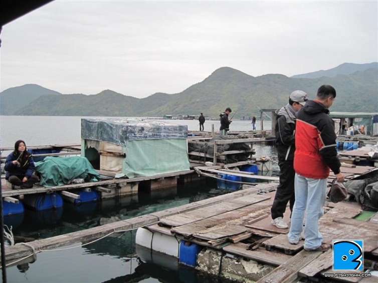 IMG_7817 (中型).jpg