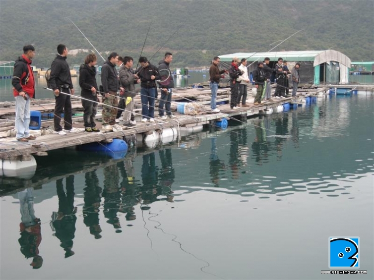 IMG_7854 (中型).jpg