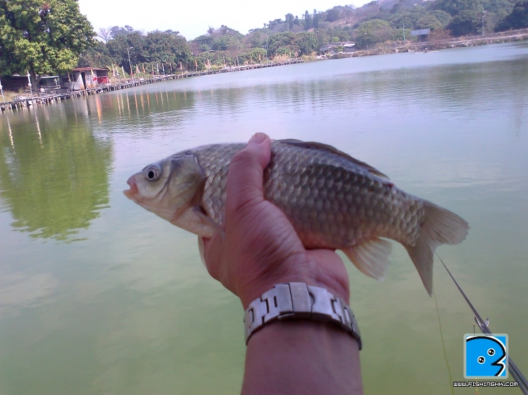 相片0052.jpg